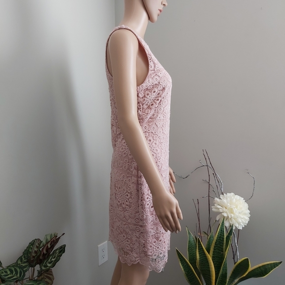 Jack by BB Dakota sheath dress pink lace sleeveless mauve rose cottagecore - Picture 7 of 16